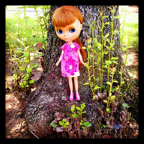 16/52  - Talia Enjoys Nature by Among the Dolls