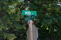 Any relation to "Saucy Mink"?