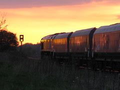Trains 