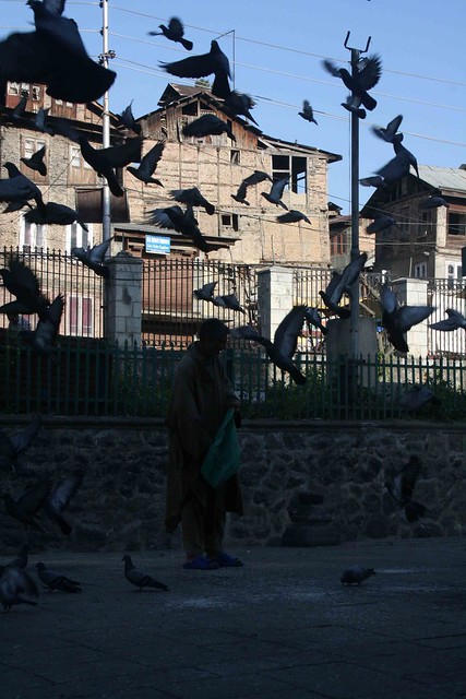 Kashmir Diary – The Happy Haven, Srinagar