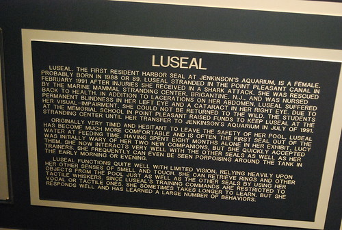 JA - Luseal