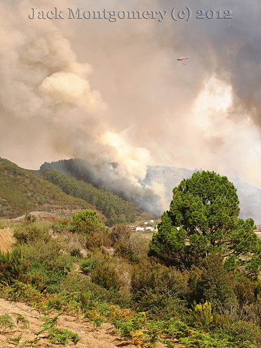 Wildfires Tenerife