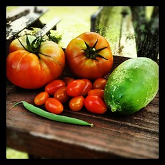 Todays mini harvest. #tomato #cucumbers #salad #igrewit #containergarden #deck #summer