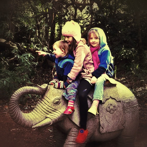 And the caravan rides forth. #elephant #ride