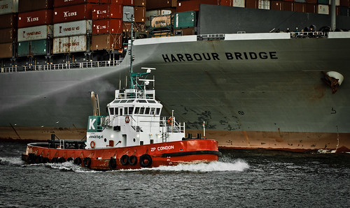 Harbour Bridge, Hamburg #6228