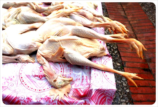 luang prabang morning market chicken