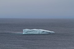 Iceberg pics