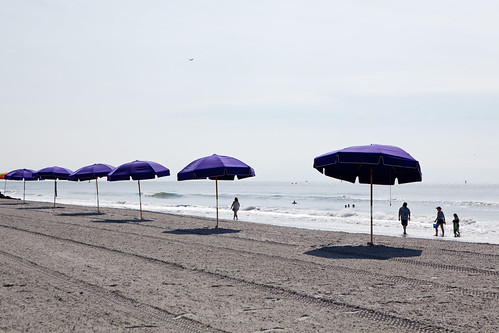 Purple beach umbrellas