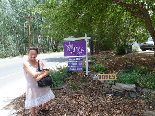 Lily's cafe and garden, Taos