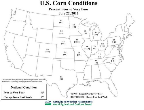 US Corn Conditions