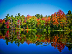 Beauchamp Lake Reflection, Fall Season