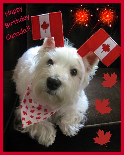 6/12B ~ "Proud To Be A Canadian" by ellenc995