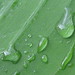Raindrops on banana leaf