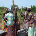 Women crushing shea manually in Burkina Faso