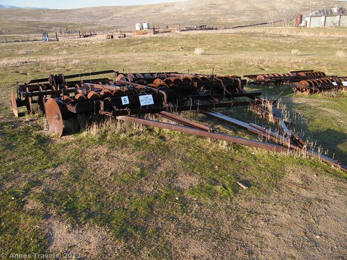 DYRR Off-set Disk at Traver Ranch in Carrizo Plain National Monument, California
