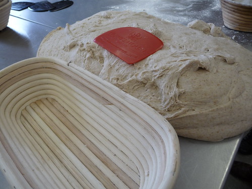Sourdough ready to shape with basket