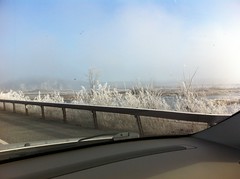 Frosty at Tupper Lake