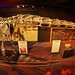 Giant Mysterious Dinosaurs Exhibit at The Franklin Institute  (22)