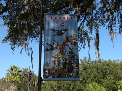 Hummingbird Garden