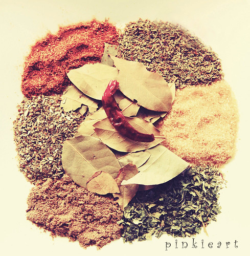 04-10Sep2011: Spices by b0y_m3nth4