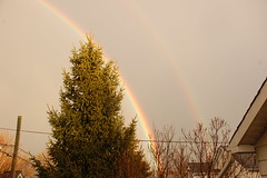 Double Rainbow Saturday