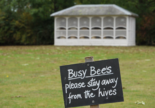 Busy Bees...