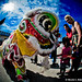Chinese New Year Lion Dances @ Oceanic 1.29.12-17