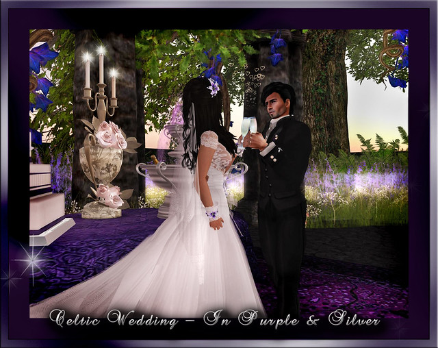 Celtic Wedding in Purple Silver D D Places and weddings