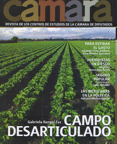 Revista Cámara - Noviembre 2011 (1)