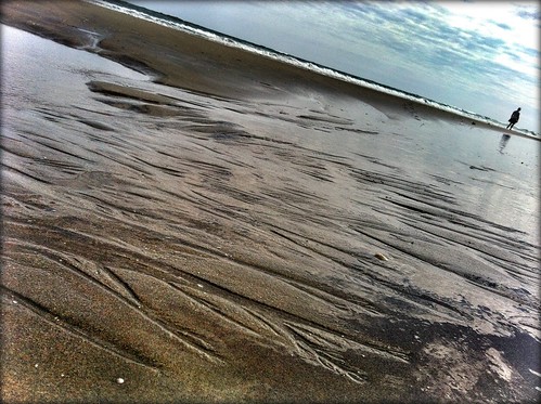 198/365- Marks on the sand by elineart