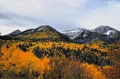 Alpine Loop & Sundance Utah