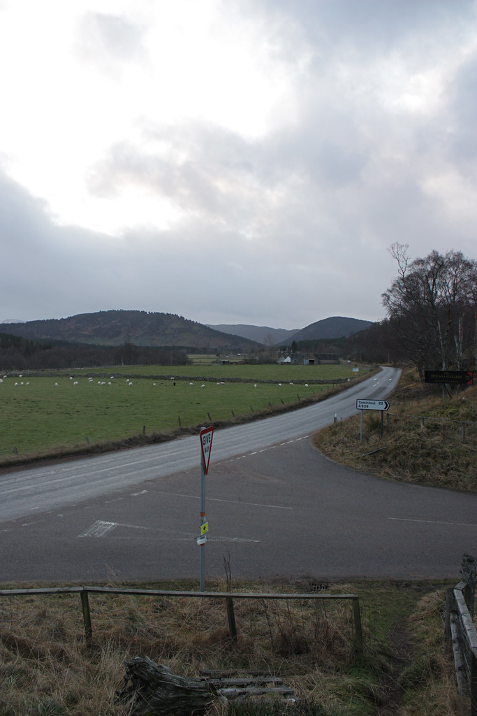 The North Deeside Road