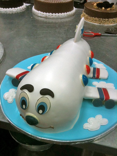 3D airplane cake!