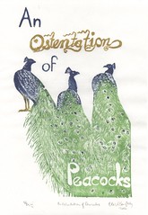 An Ostentation of Peacocks