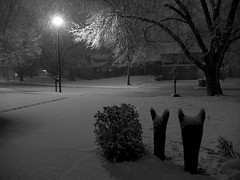 Snowy Days, February, 2012