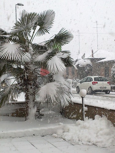 Nevicata a Filo 2012 by meteomike