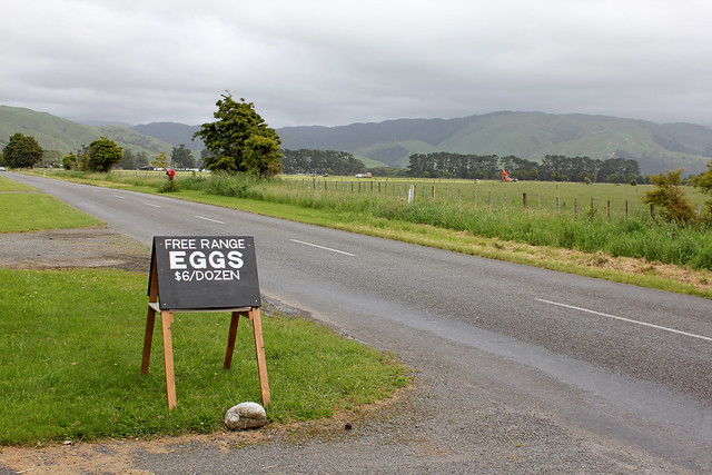 Egg sign