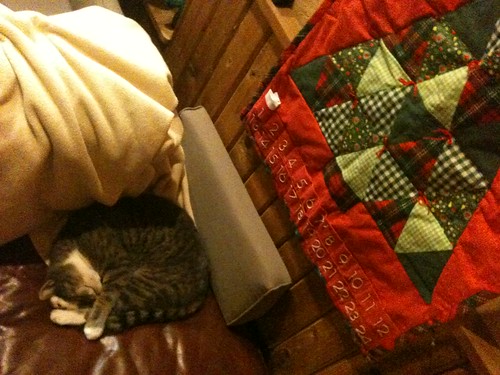 snoozing kitty and advent
