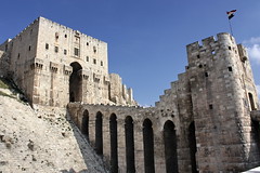 11.02.2010  Aleppo Castle