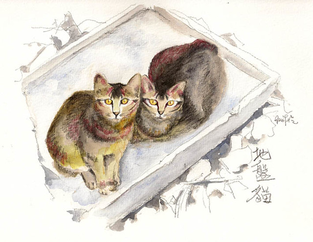 Stray Cats Keeping Warm 地盤貓取暖