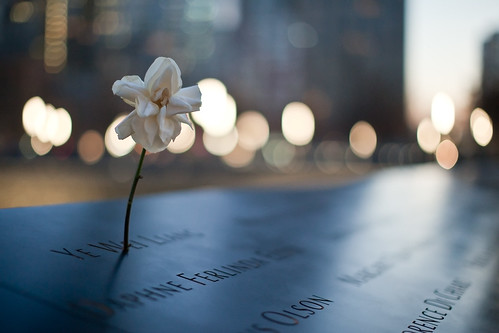 Flower at September 11 Memorial