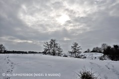 Hockwold in Snow