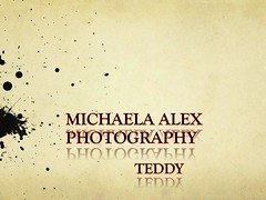 Teddy - project