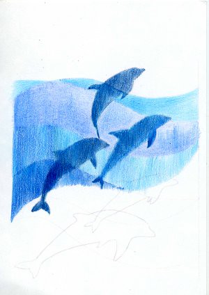 2011_07_05_dolphin_01