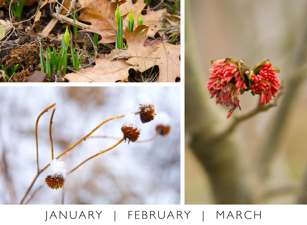 January February March