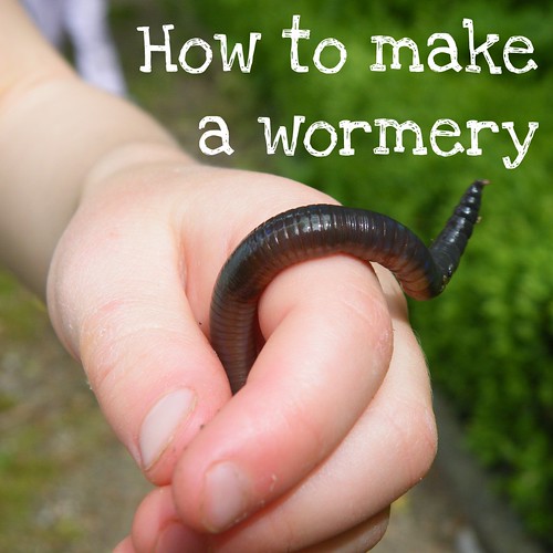 Growing Worms - Kids will love this! Gardening With Kids {Weekend Links} from HowToHomeschoolMyChild.com