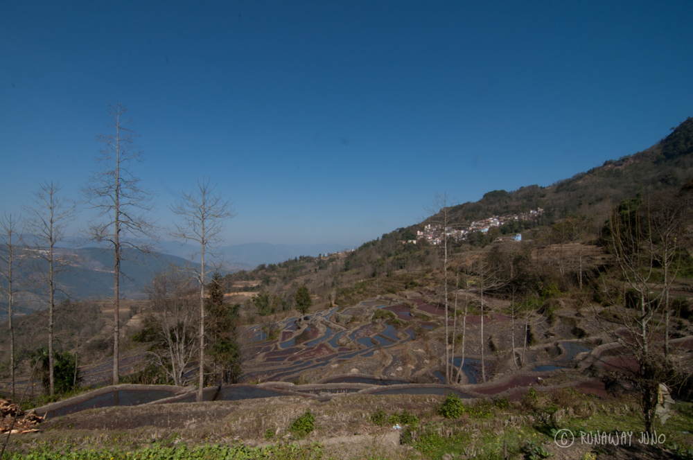 Yuanyang Rice Terrace and a village