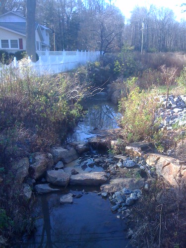 Muddy Creek: A restored urban stream and one of our field sites