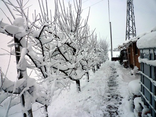 Nevicata 2009 by meteomike