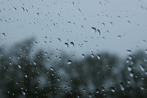 Rain On Window 3